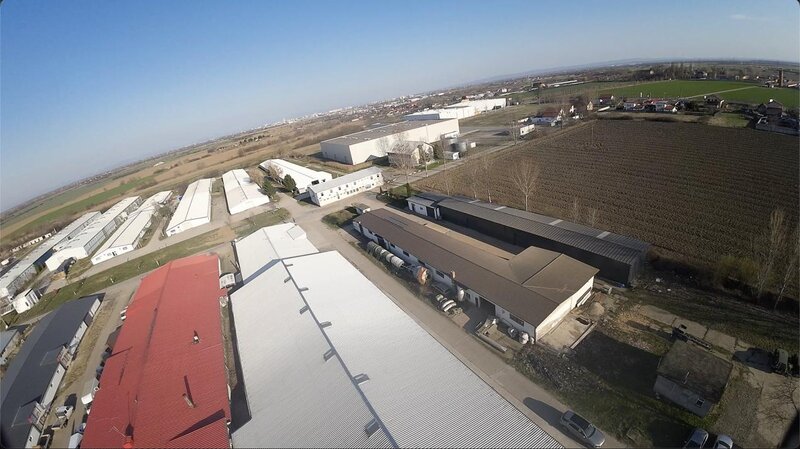 Careiului nr. 11, Vetis, Satu Mare 447355, hala industriala 2000