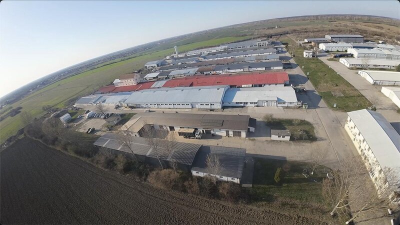 Careiului nr. 11, Vetis, Satu Mare 447355, hala industriala 2000